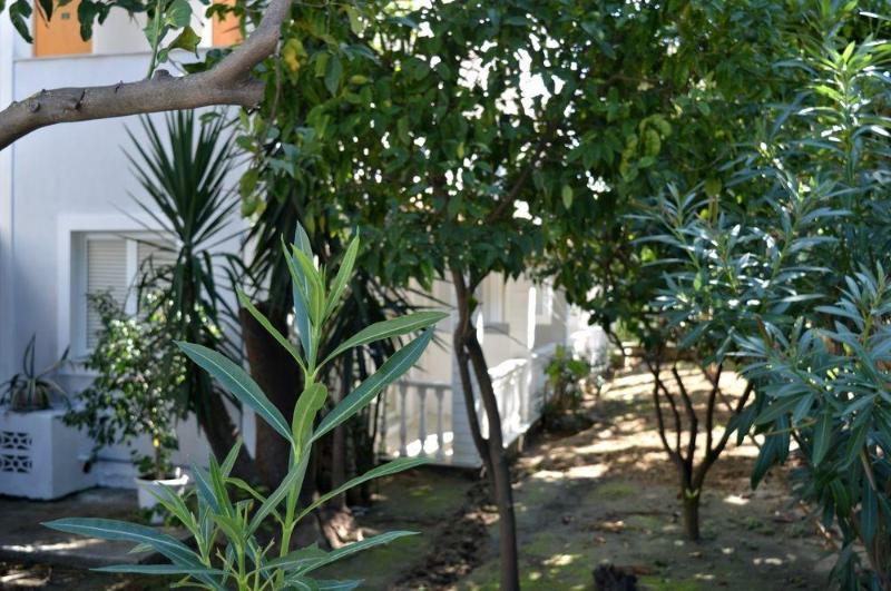 Chryssi Akti Otel Argassi Dış mekan fotoğraf